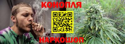 крисы Ставрополь