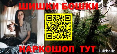 крисы Ставрополь