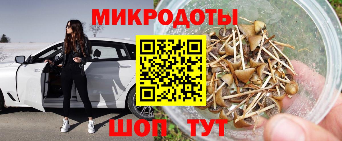 Псилоцибиновые грибы мухоморы Октябрьский